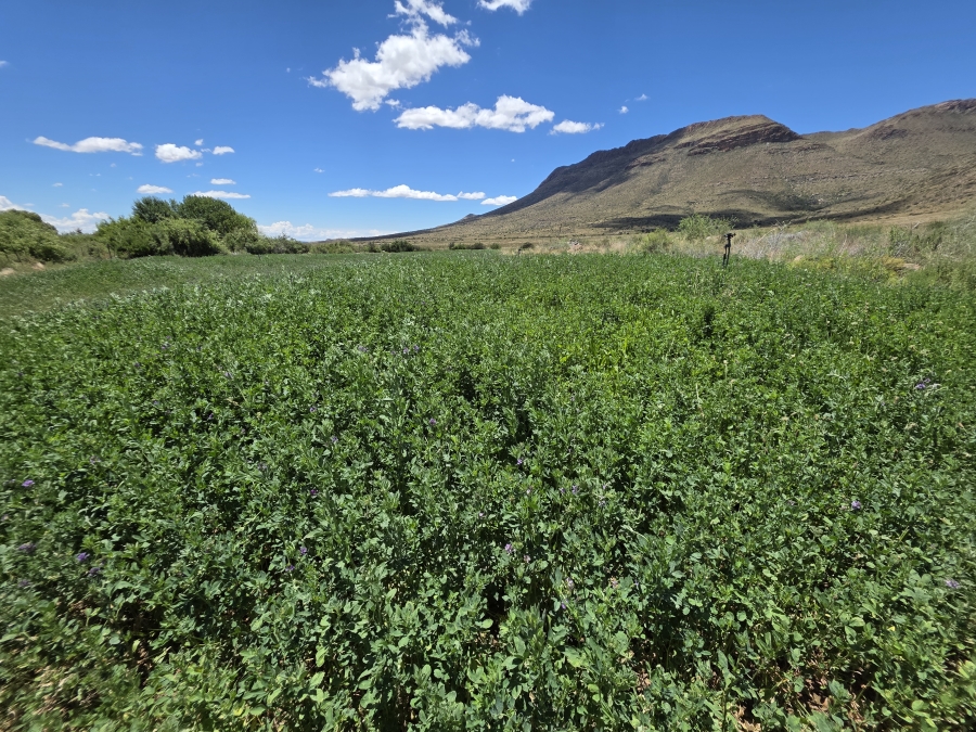 0 Bedroom Property for Sale in Middelburg Rural Eastern Cape